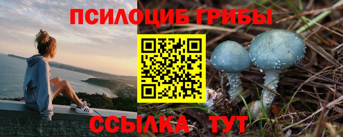 Псилоцибиновые грибы прущие грибы Холмск