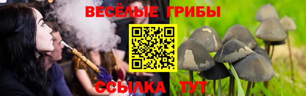 Псилоцибиновые грибы Magic Shrooms  Псилоцибиновые грибы ЛСД  Вход с VPN  Холмск 